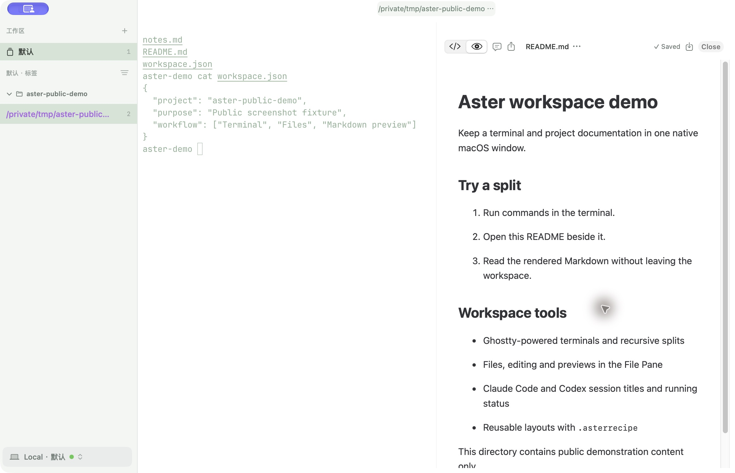 Aster 实际窗口：左侧标签栏、中间终端、右侧 Markdown 预览